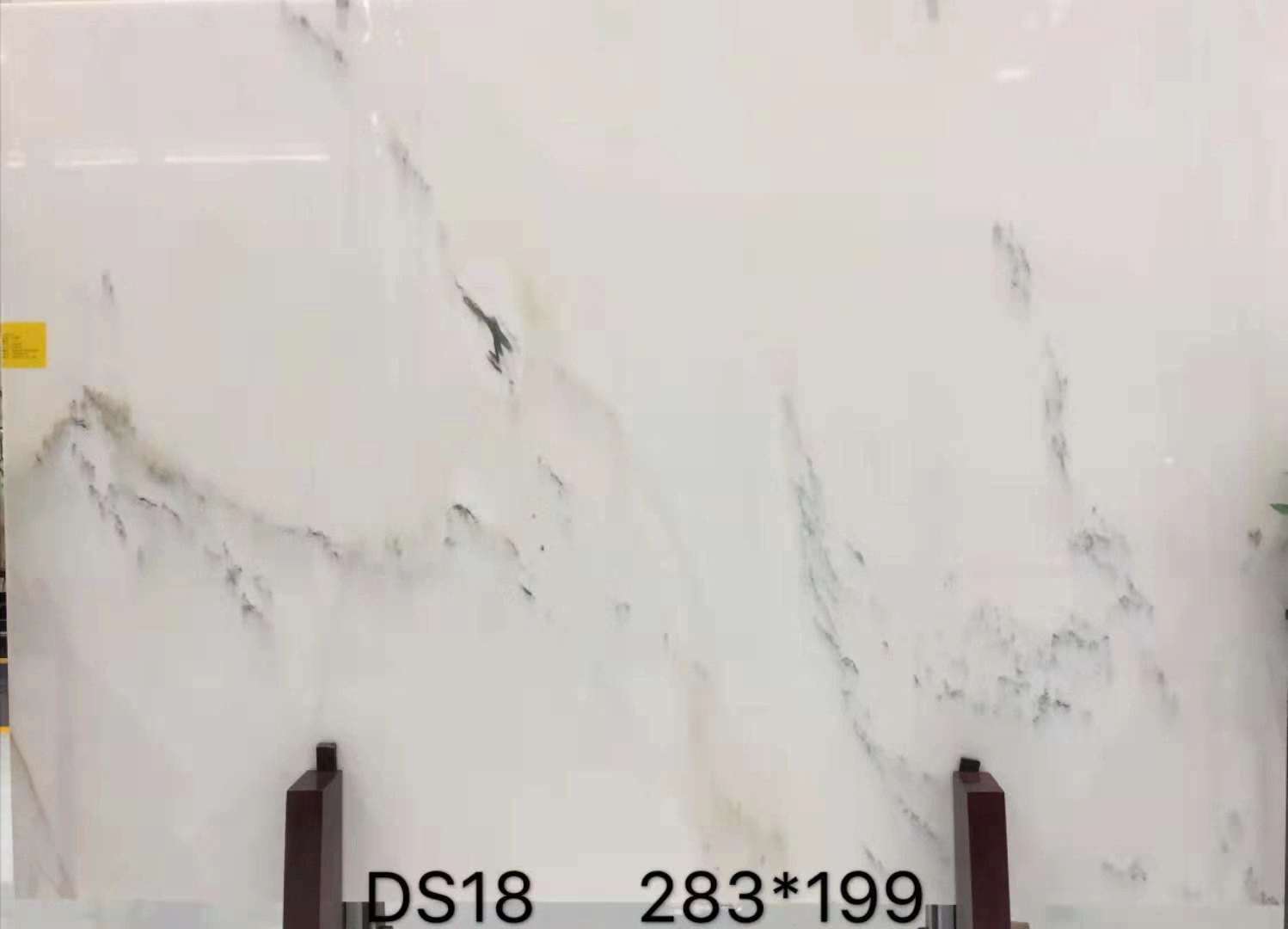 DS18