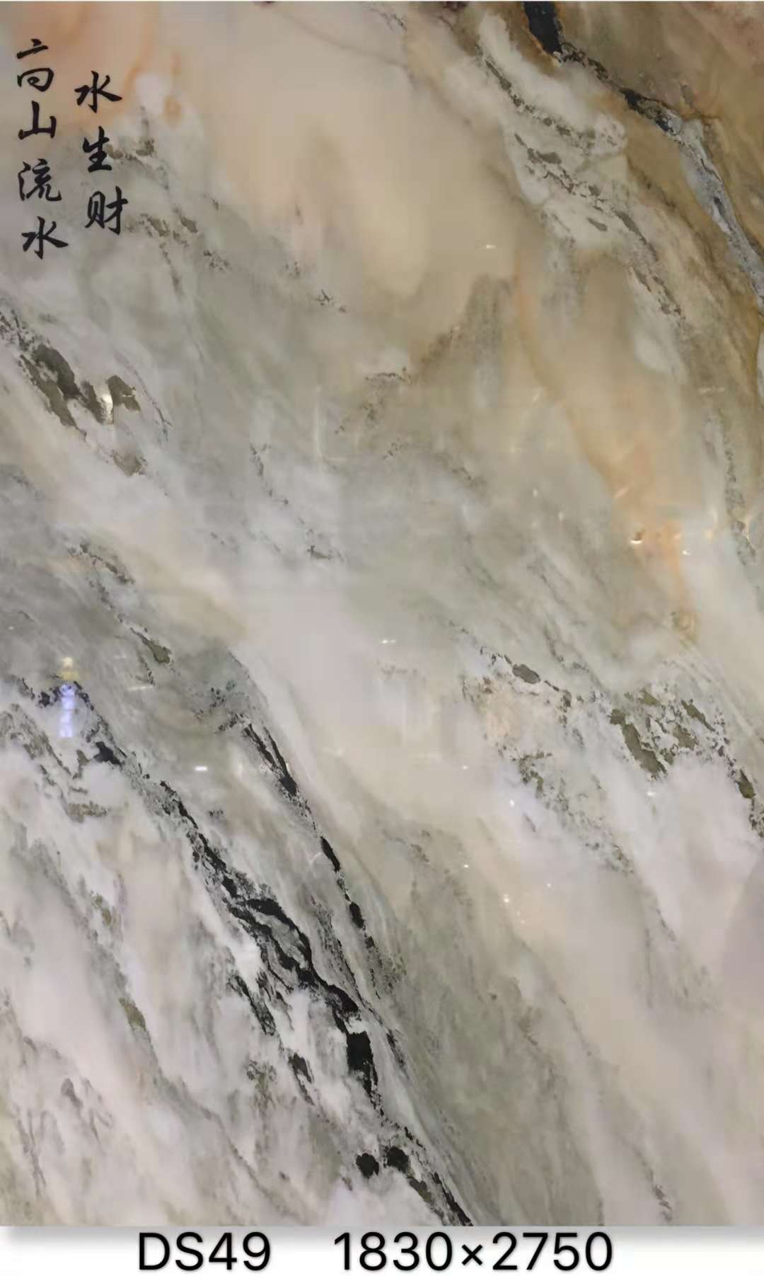 DS49